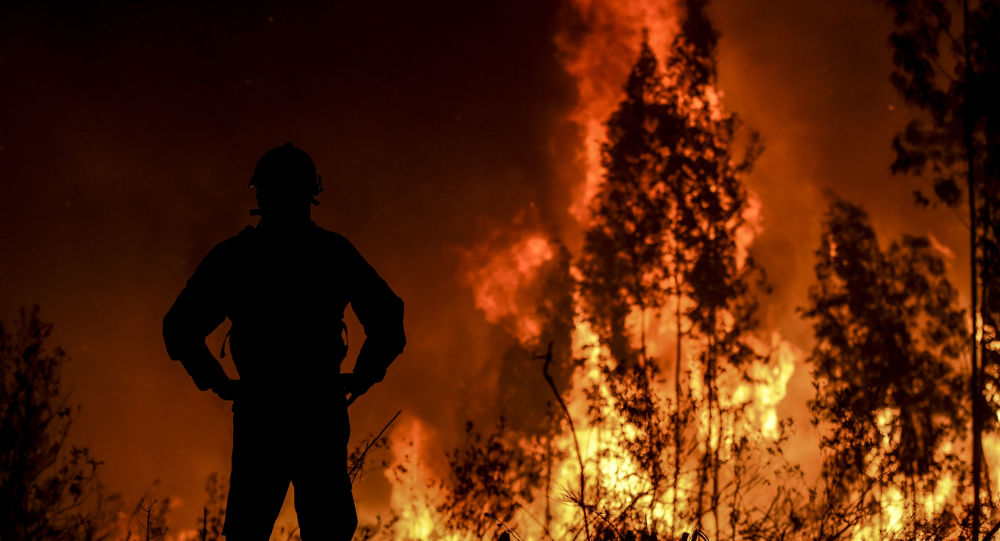 Incendies de forêts : près de 21.000 ha décimés en 2019 à l’échelle nationale