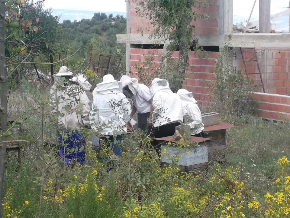 Le miel local: un marché mal structuré et des prix hors de portée