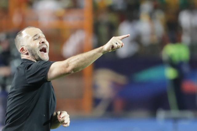 L’année Belmadi: pluie de récompenses pour l’Algérie