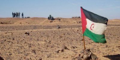 Conflit au Sahara Occidental: l’UA doit prendre en considération les graves pratiques marocaines