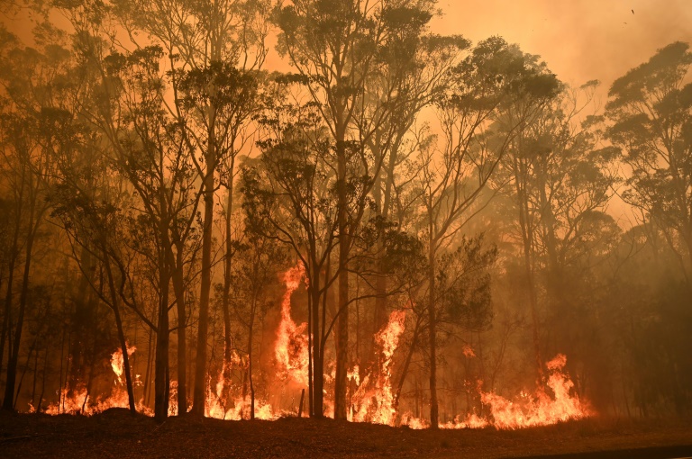 Incendies: après une journée catastrophique, l’Australie évalue les dégâts