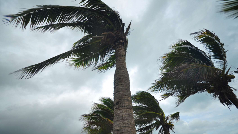Des vents forts soufflent sur des wilayas du Sud et de l’Est jusqu’à mercredi soir