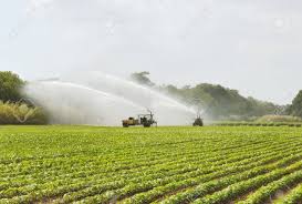 Un programme spécial pour l’irrigation agricole en cas de sécheresse