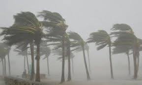 BMS : des vents forts sur la région Nord à partir de jeudi