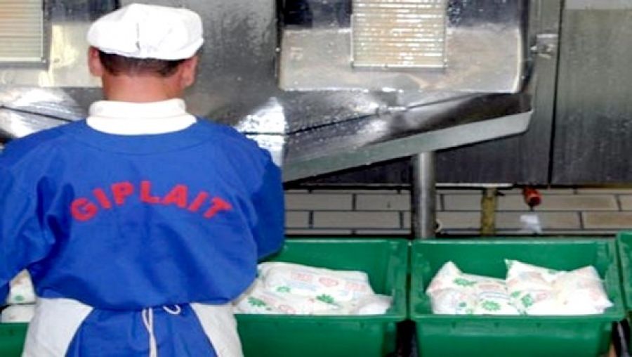 Ramadan: Giplait augmente sa production laitière de 20% pour répondre à la demande