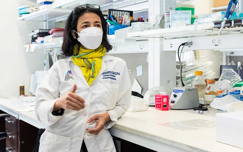 Miriam Merad, une algérienne à l’académie des sciences américaine