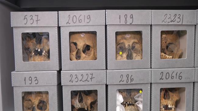 L’avion avec à son bord les 24 crânes des résistants à la colonisation s’est posé à Alger