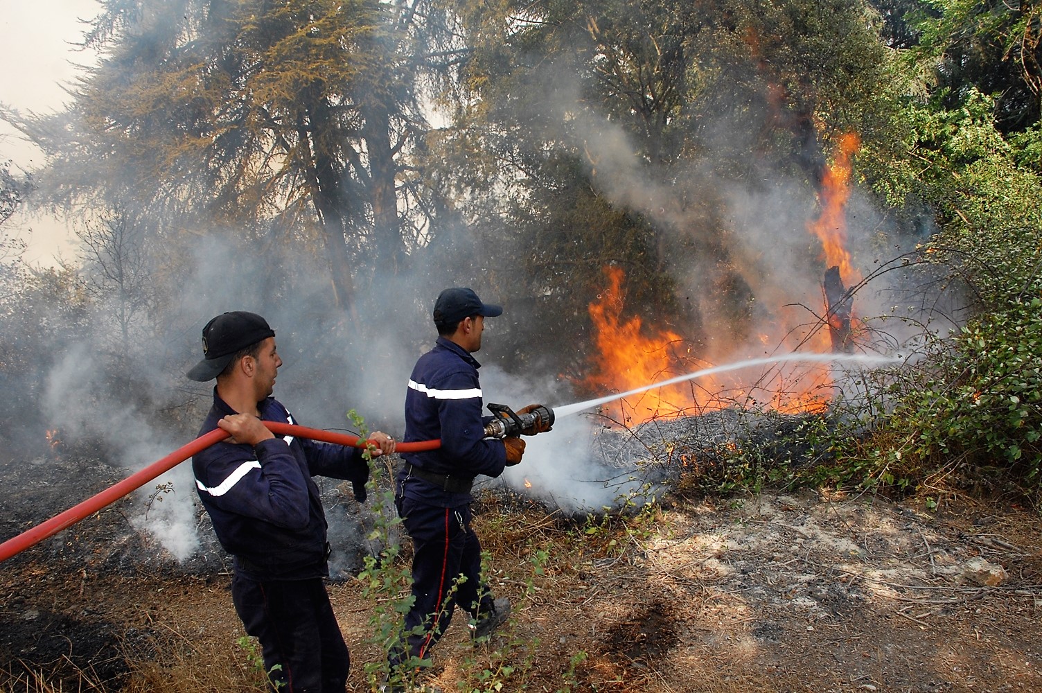 Incendies de Tizi-Ouzou : des accusés et des témoins devant le juge ce dimanche