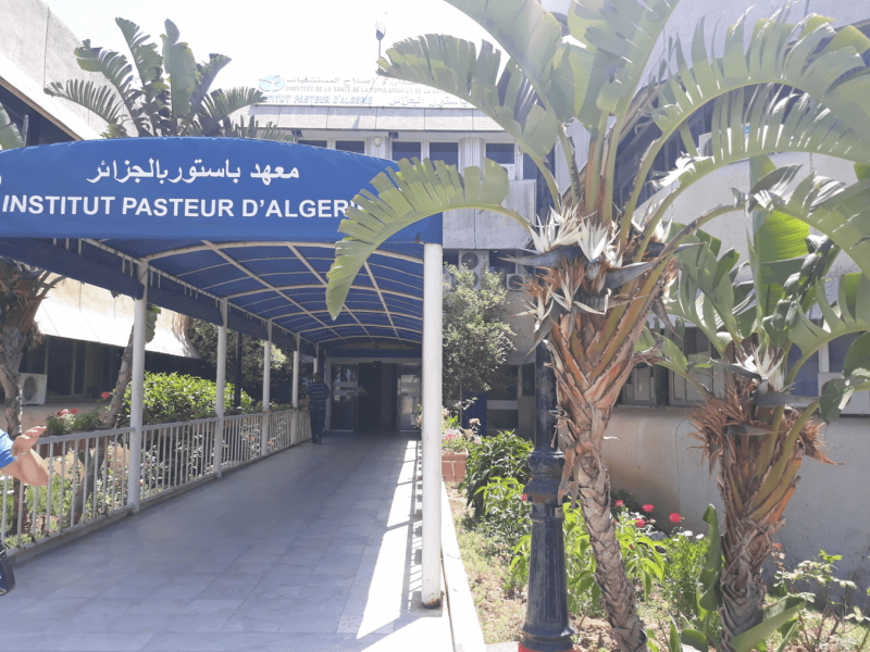 Covid-19 : l’Algérie va se doter bientôt de tests antigènes