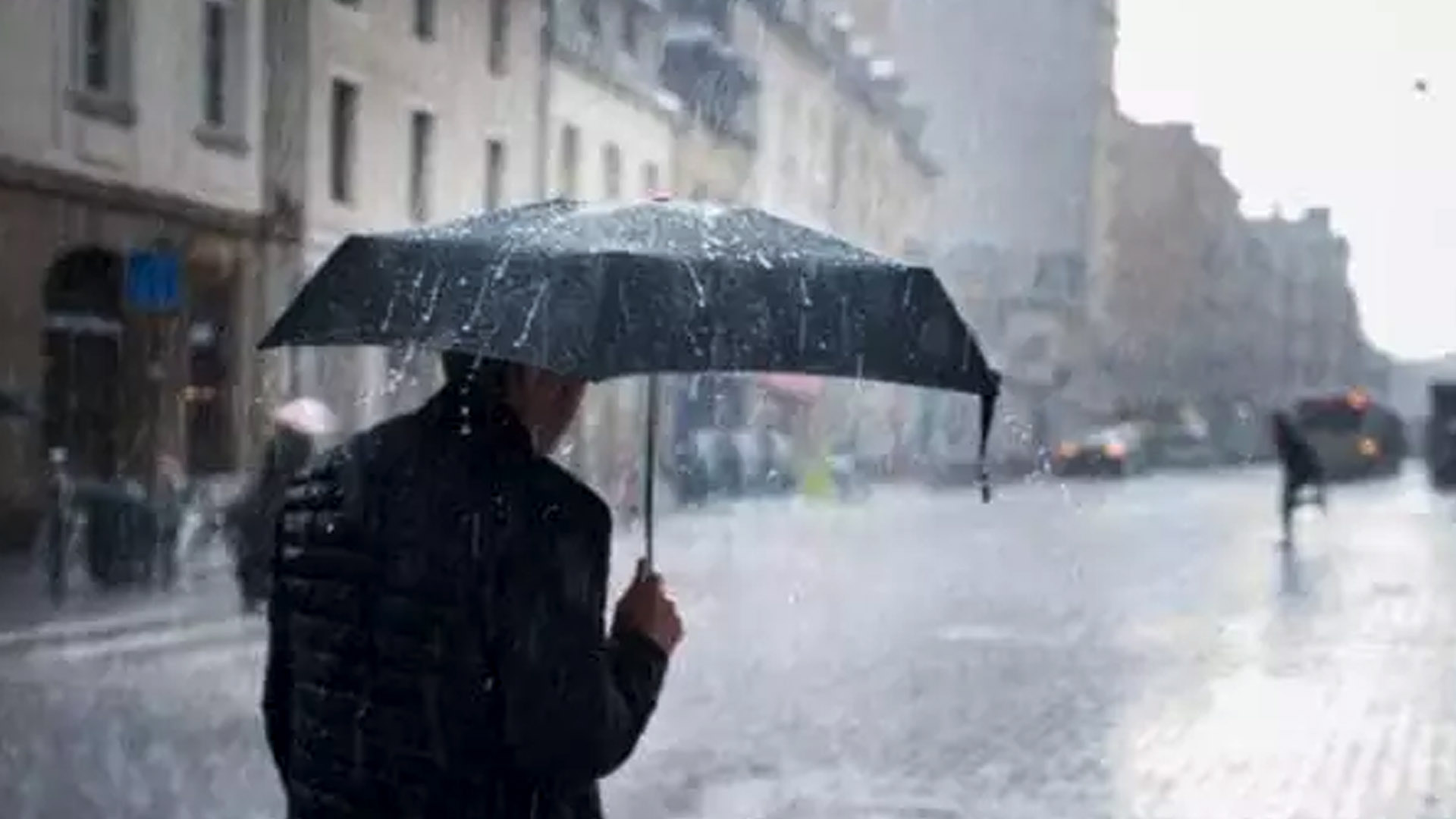 Météo : fortes pluies attendues sur plusieurs wilayas