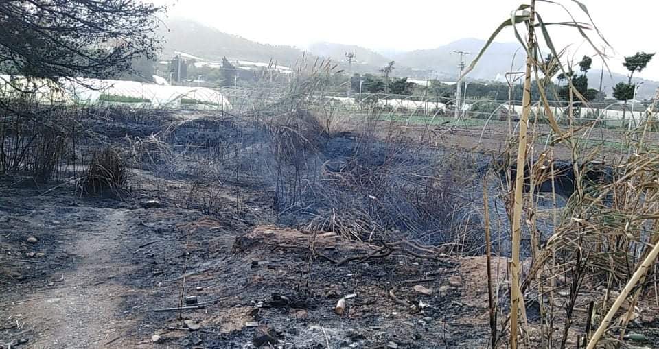 حرائق الغابات: الدرك يطيح بفلاح أحرق 5 هكتارات بتيبازة