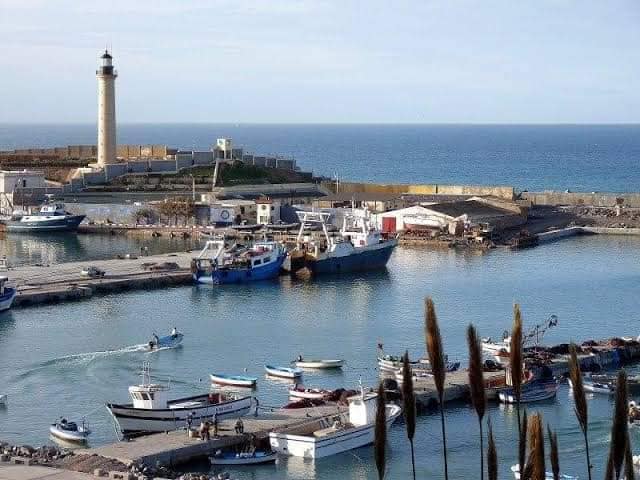 Environnement : un mur construit le long de la promenade du port de Cherchell provoque le courroux des habitants