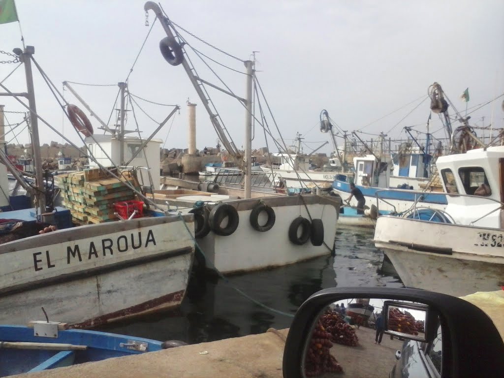 Disparition d’un bateau de pêche à Tipasa: cinq marins pêcheurs retrouvés sains et saufs !