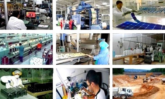 مؤسسات مصغرة: اتخاذ سلسلة من الإجراءات لترقية المقاولاتية