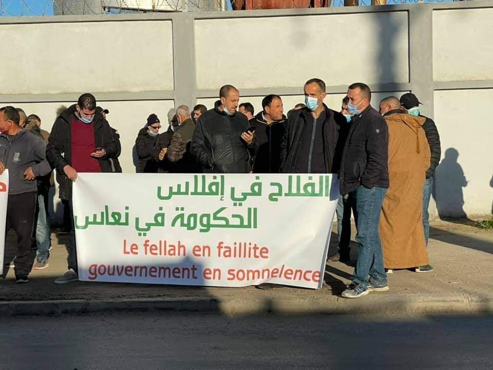 Aliments de bétail: des éleveurs réclament la suppression de la TVA