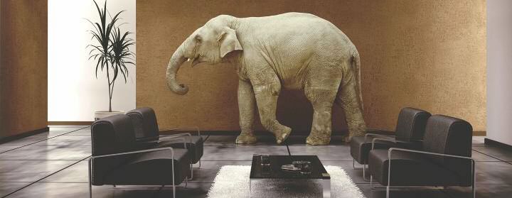 L’éléphant dans le salon (blog de Jaffar Lakhdari)