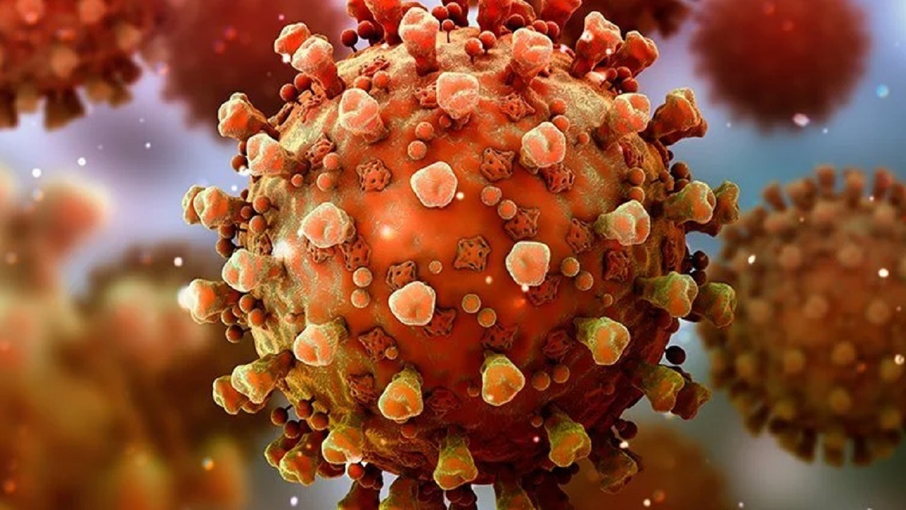 السلالات المتحورة لـ كورونا: ارتفاع عدد الحالات المؤكدة في الجزائر