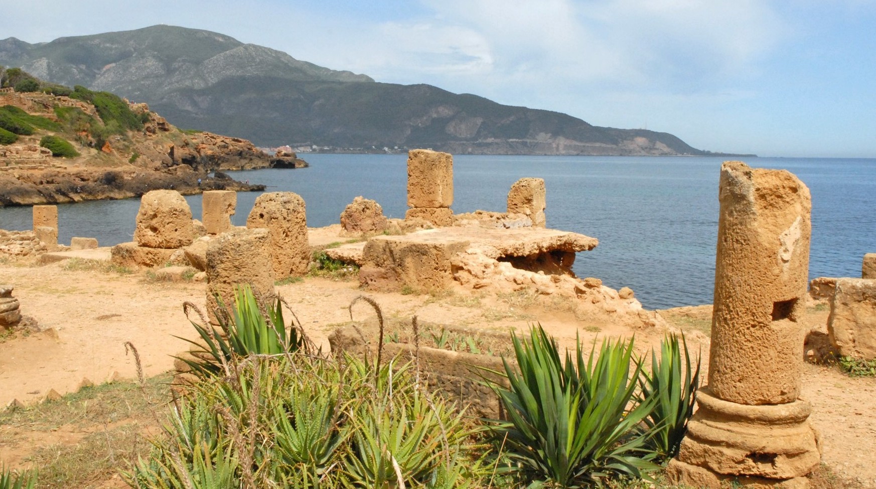 Archéologie : vers le transfert du siège du CNRA à Tipasa