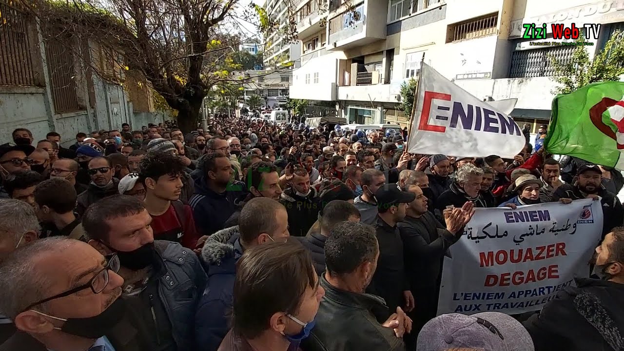 الشركة الوطنية “انيام” تبعث العمال في عطلة سنوية مُسبقة.. هل هي العودة إلى نقطة الصفر ؟