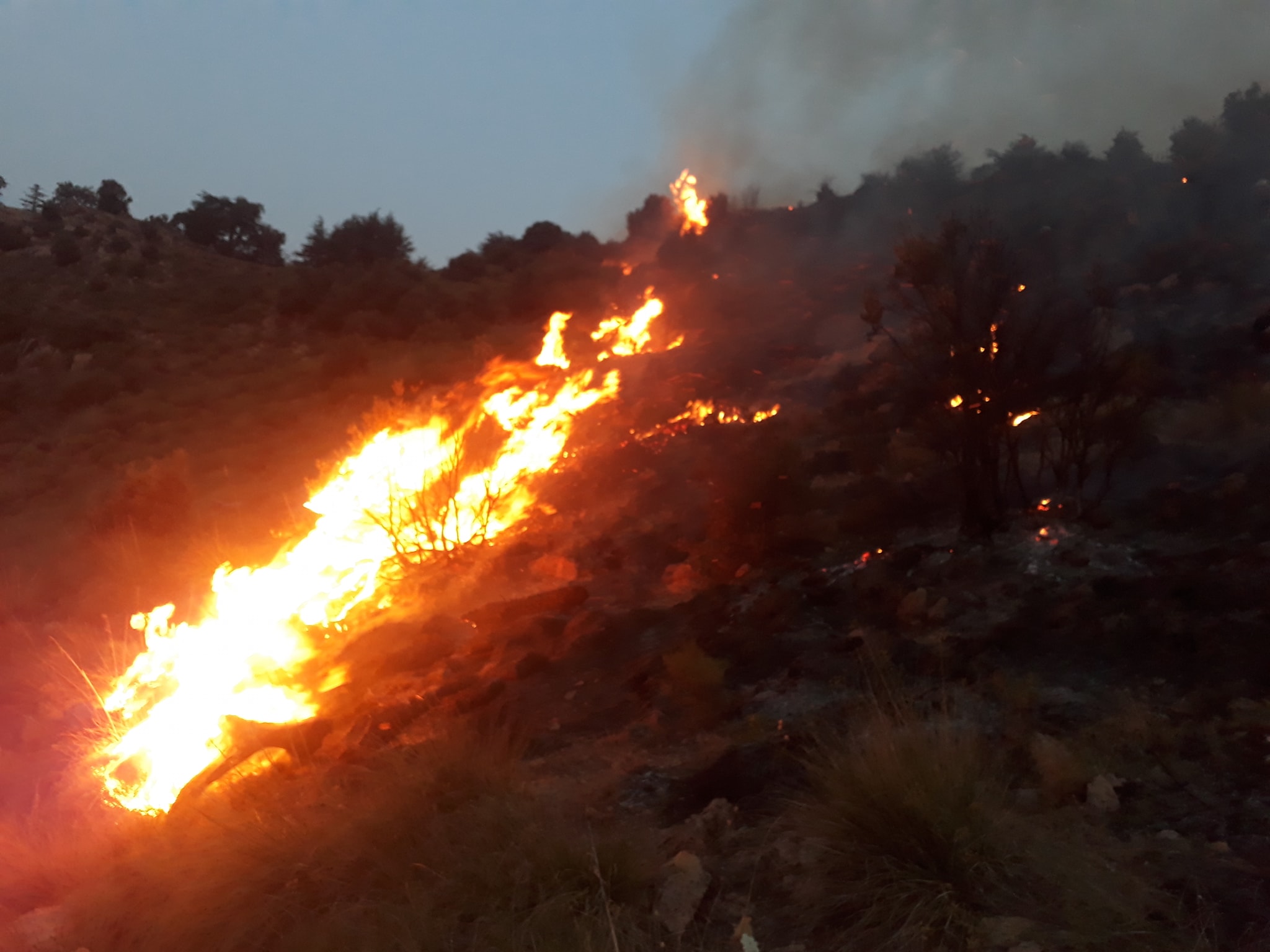Le feu de forêt de Tikjda est maitrisé