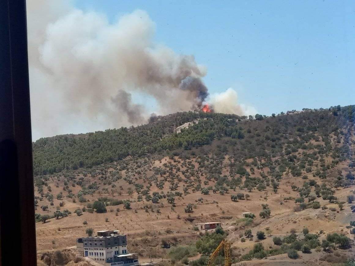 Les forêts Akchouche à Seddouk brûlent