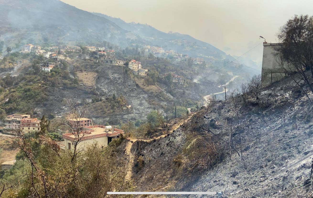 Incendies : Béjaia compte encore ses pertes