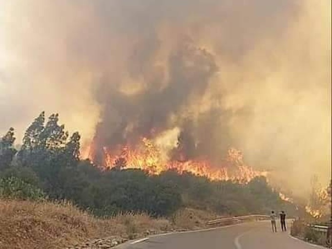 Incendies de Tizi Ouzou : Tebboune décrète un deuil de 3 jours