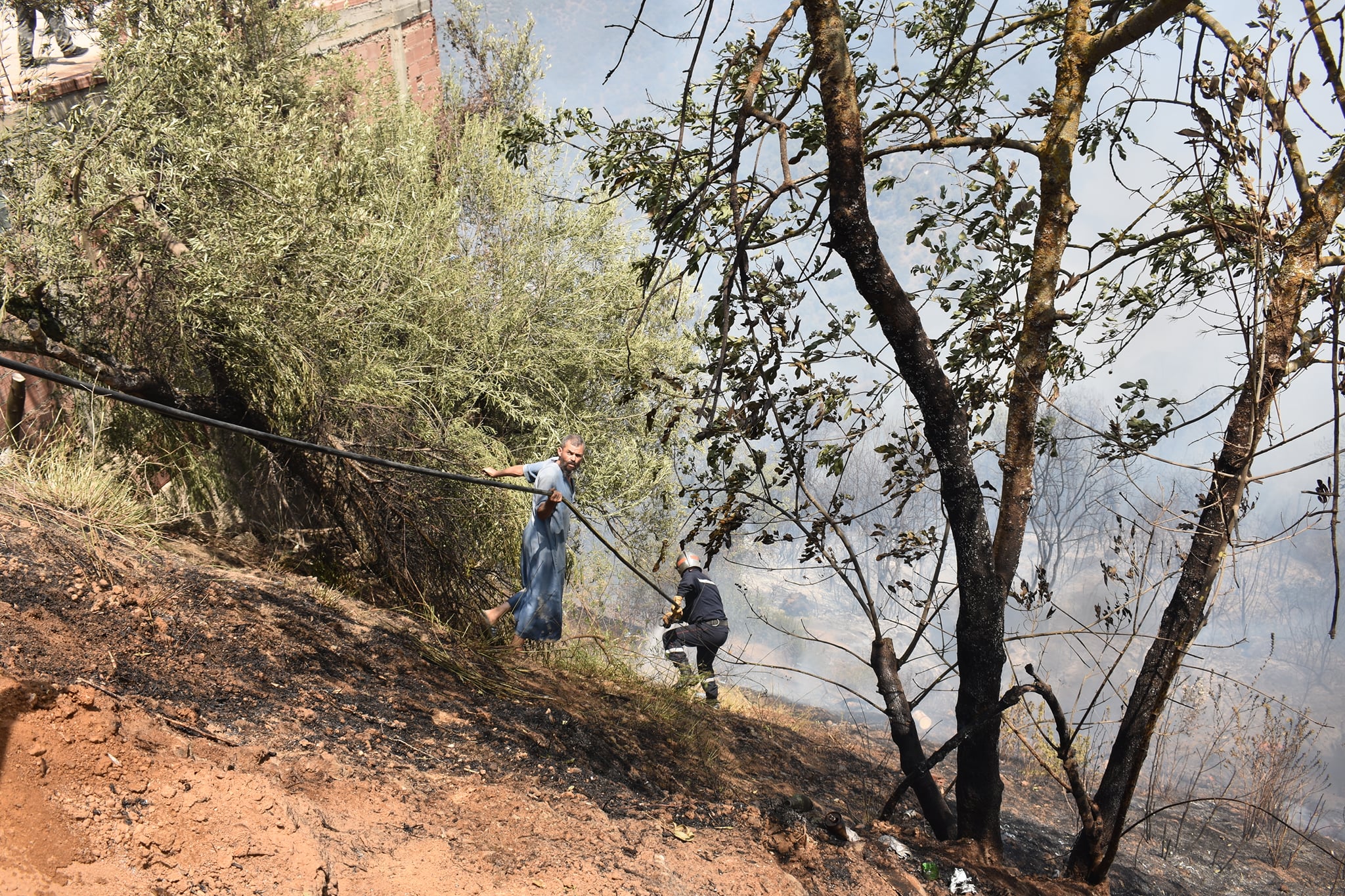 حاليًا: الجهود متواصلة لإخماد 92 حريق عبر 16 ولاية