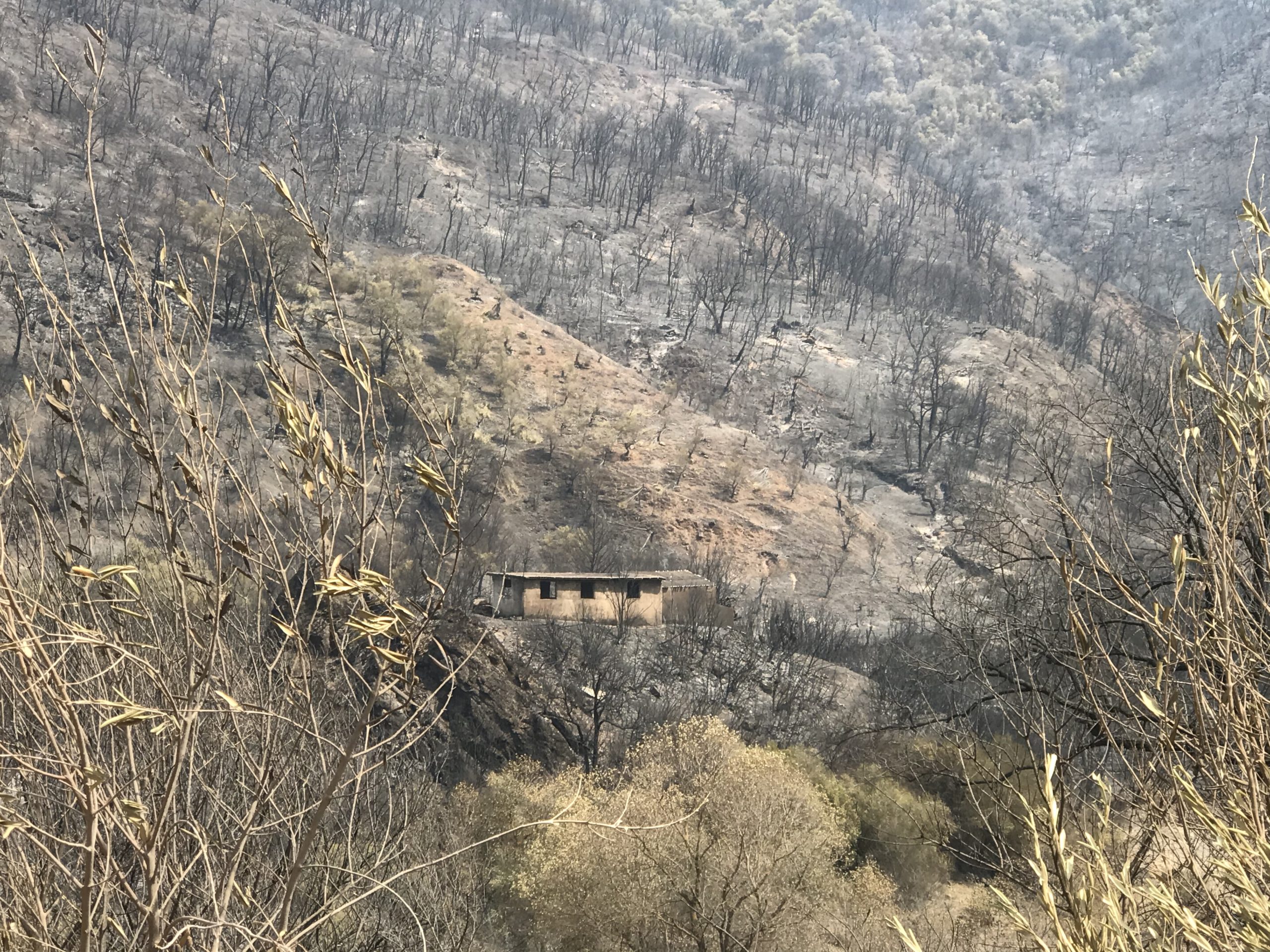 بالصوت والصورة: في تيزي وزو واقعٌ “أفظع وأجمل” مما وثّقه فايسبوك !