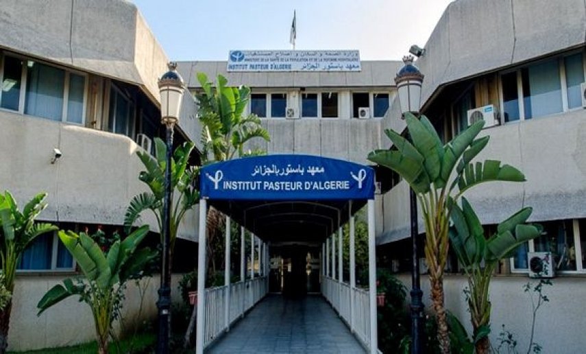 كورونا/الجزائر: 92 بالمئة من المصابين حاملين للمتغيّر “دلتا”