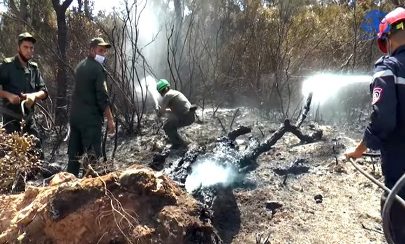 Incendies : le PT propose un plan d’urgence pour les zones touchées