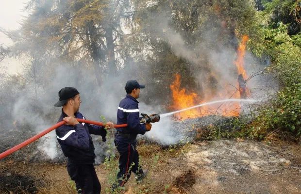 ارتفاع عدد الحرائق إلى 73 حريق عبر 13 ولاية