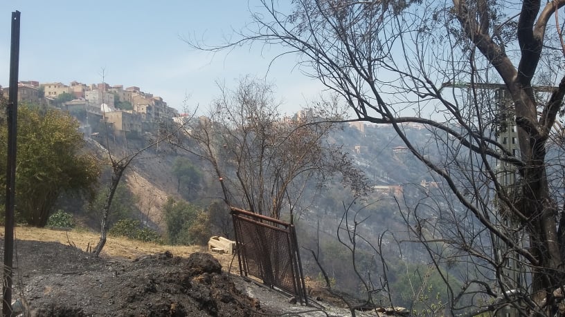 الدرك يوجه نداء للعائلات للتعرف على جثت ضحايا الحرائق