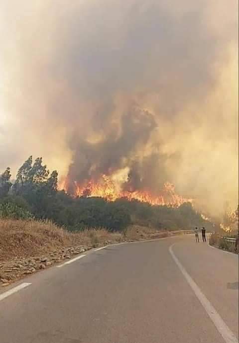 آخر الأخبار عن حرائق تيزي وزو والولايات الـ 17 الأخرى