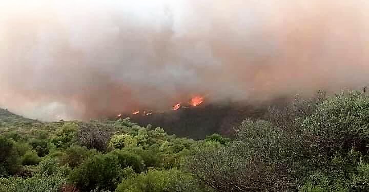 ALERTE ! Les incendies reprennent