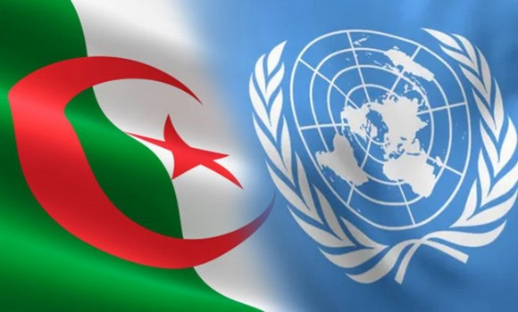 « Discrimination et racisme envers les amazighs et les migrants » : ce que recommande l’ONU