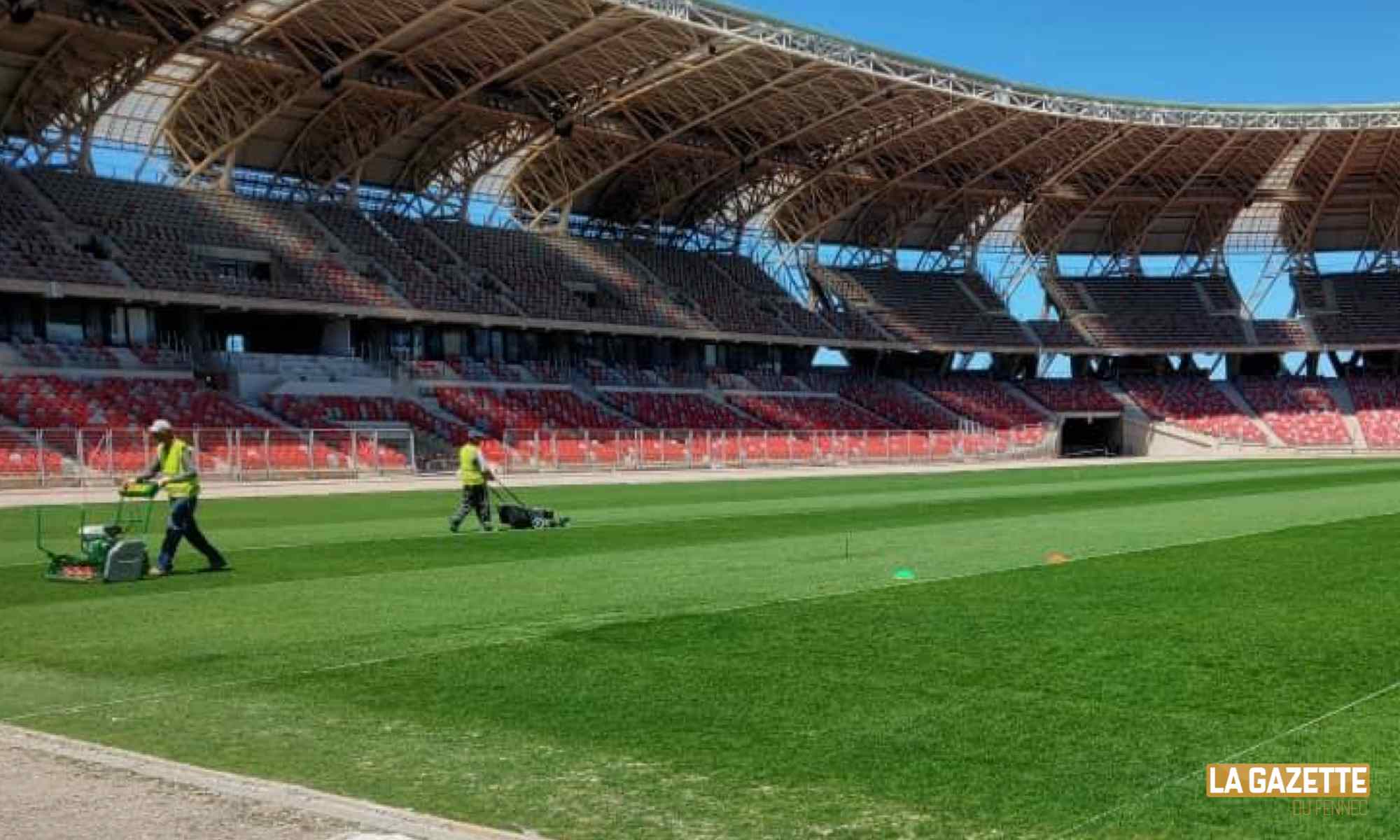 Fin des travaux de régénération de la pelouse du stade d’Oran le 15 septembre, un effet Belmadi ?