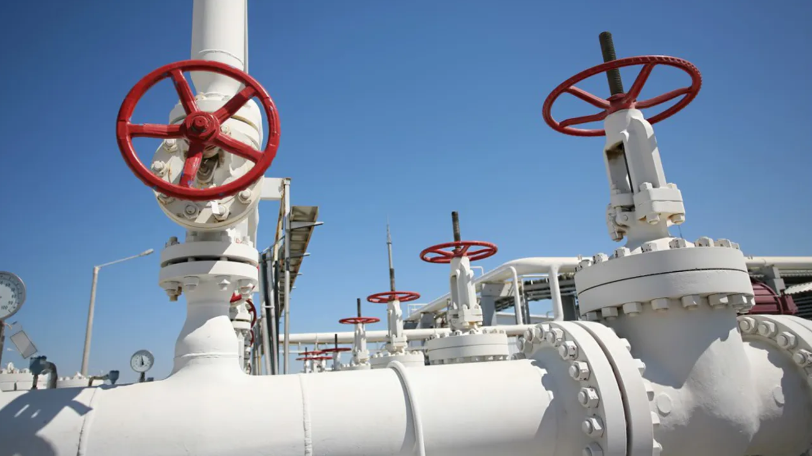 وزيرة الصناعة التونسية تنفي طلب تونس رفع حصتها من الغاز الجزائري￼