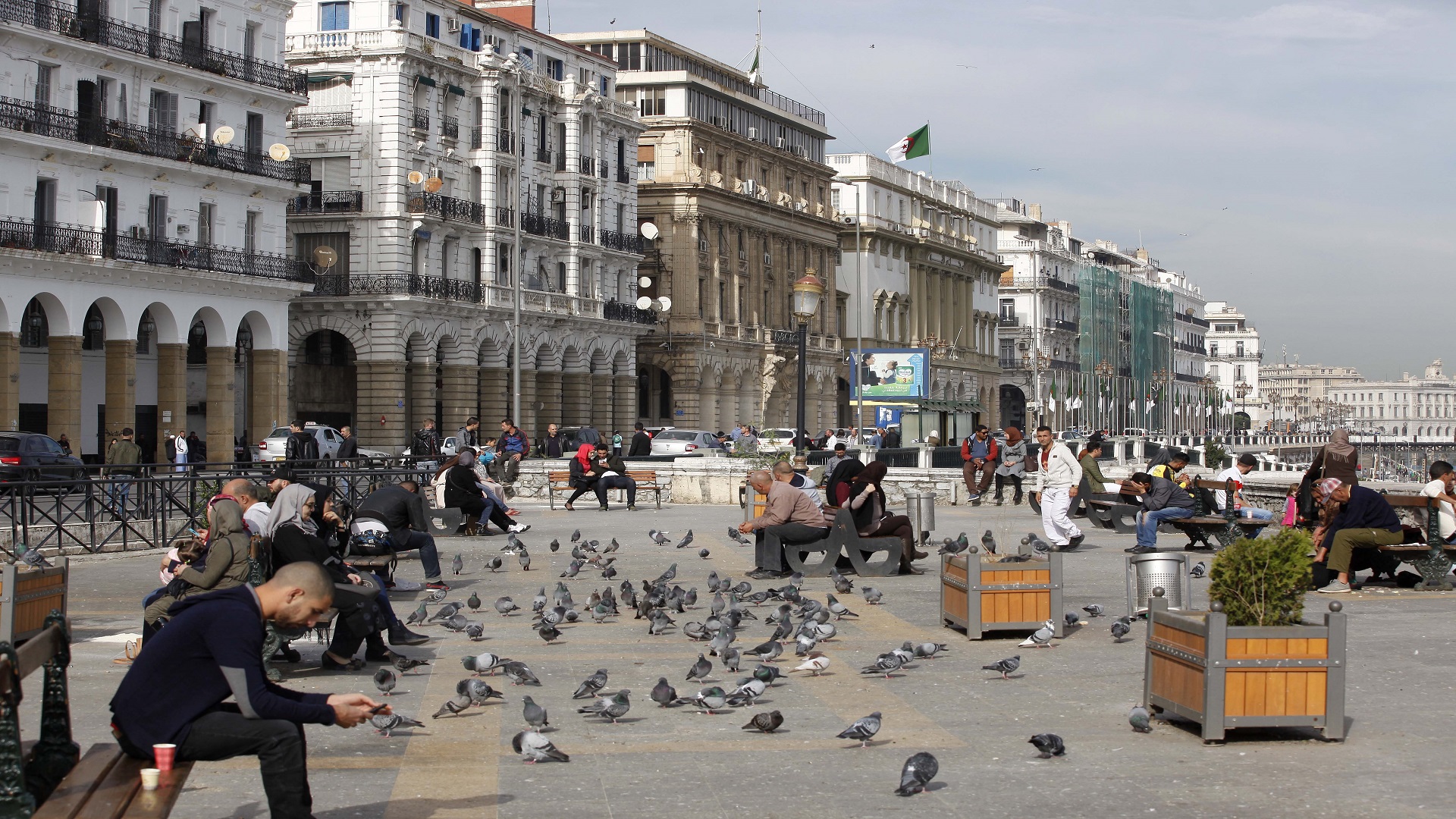 الجزائر بالأرقام: الزواج يواصل منحاه التنازلي وعدد الولادات يتراجع لأوّل مرة منذ 2014
