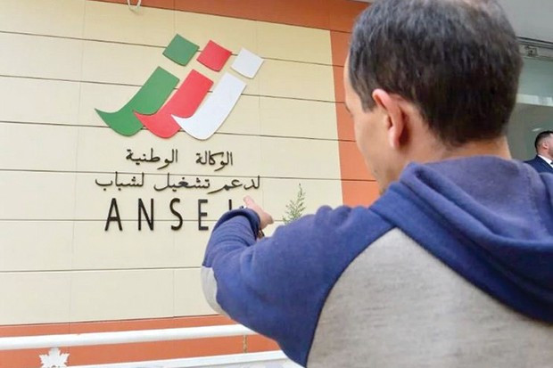 رفع سن حق الاستفادة من مشاريع تشغيل الشباب إلى 55 سنة