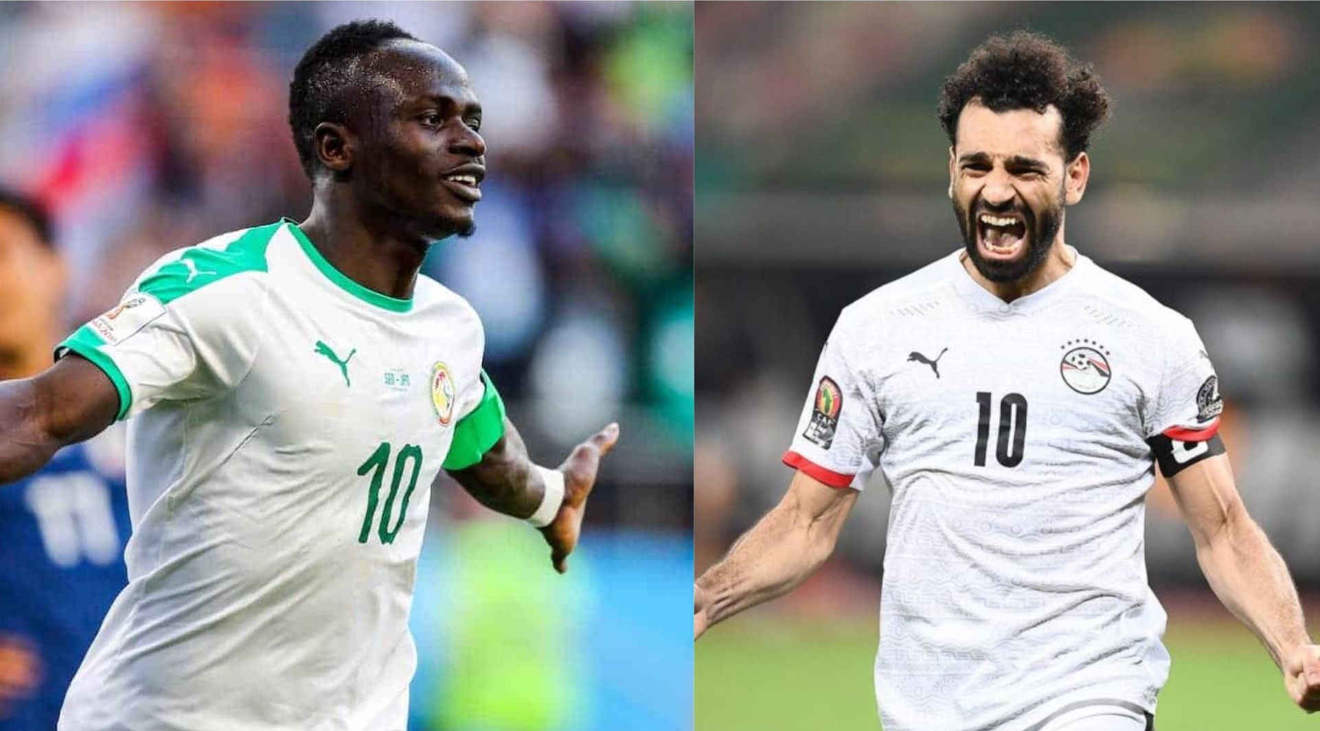 Finale de la CAN : un duel luxueux entre Pharaons et lions de la Teranga