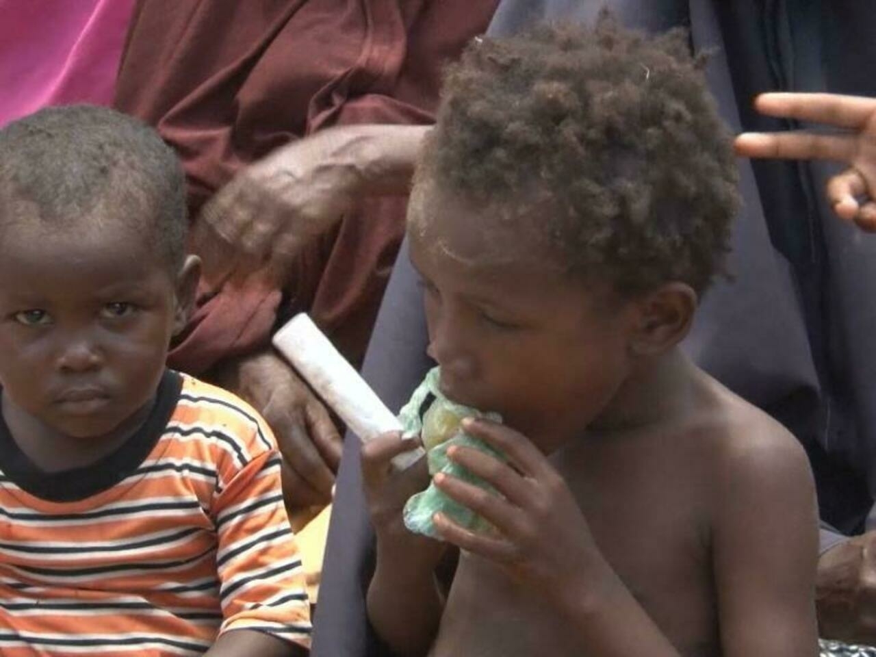 Corne de l’Afrique : la famine guette 13 millions de personnes