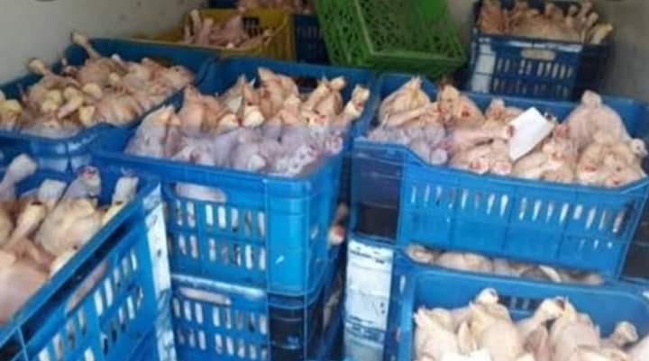 Hausse des prix du poulet : l’État va inonder le marché avec du congelé