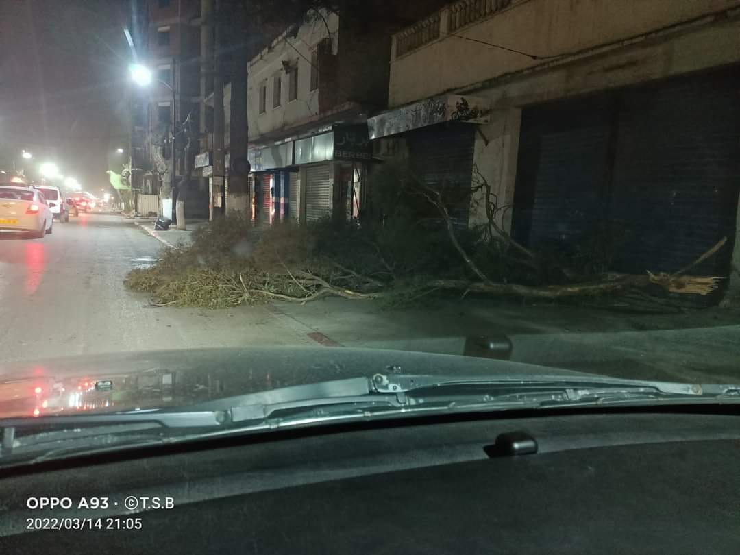 البليدة: انقطاع الكهرباء.. حريق.. توقّف حركة القطارات وانسداد الطريق بسبب الرياح القوية