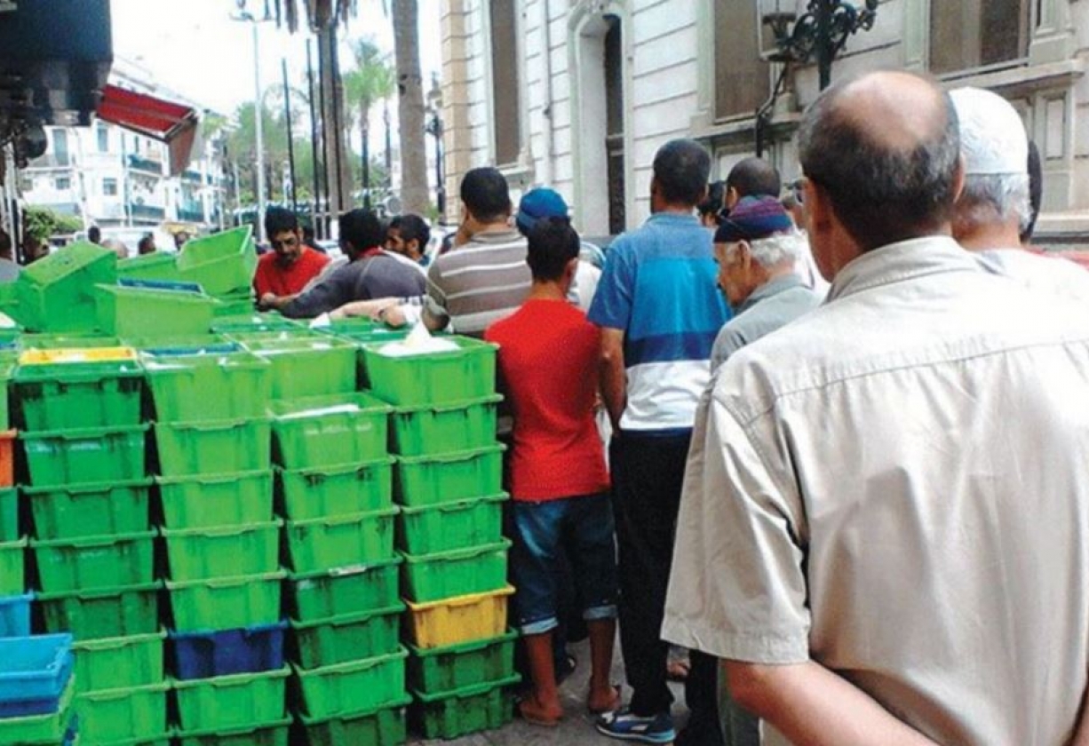 الجزائر تُنتج 60 مليون لتر من الحليب الطازج شهريًا.. أين تذهب؟