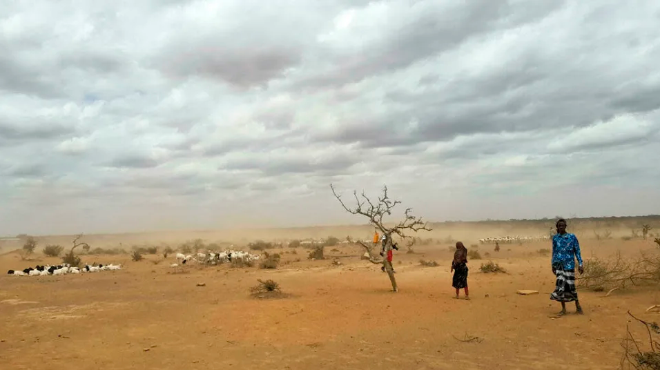 Corne de l’Afrique : la région menacée par la pire sécheresse depuis 40 ans