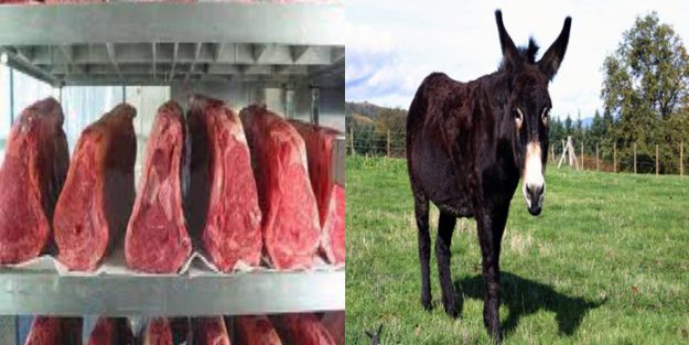 بعد عودة الجدل، هكذا سمح القانون الجزائري باستيراد لحوم الحمير والبغال وفرض عليها رسوم