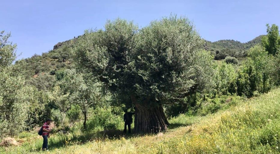 Maranach Saktine : qui va sauver Oued Amizour d’un désastre minier et écologique