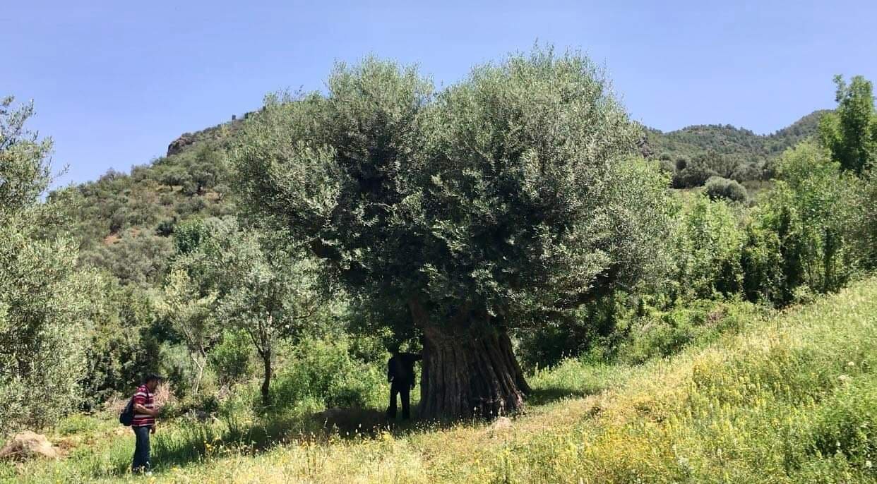 Projet de mine de plomb-zinc d’Oued Amizour :  Randonnée écologique pour protéger le site (Reportage vidéo )