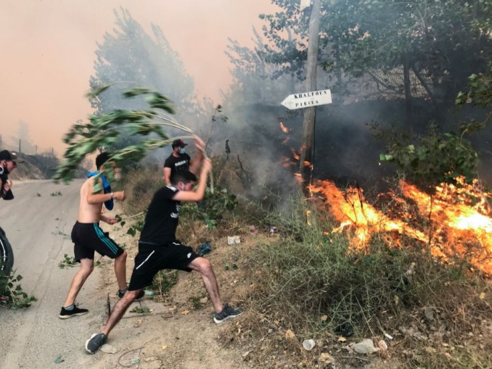 إنشاء401 برج مراقبة و513 فرقة متنقلة لتفادي سيناريو حرائق صائفة 2021 